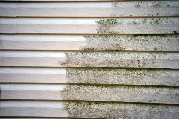 Same-Day Junk Removal Services in Brighton, AL