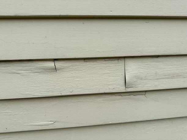 Trusted Brighton, AL Junk Removal Experts